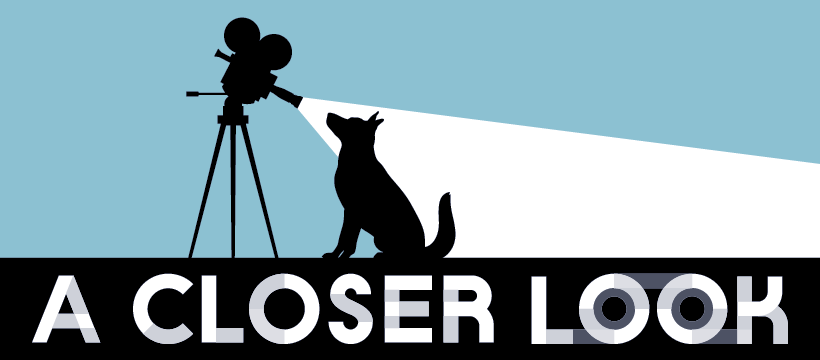 Silhouette of a dog looking directly into a filming camera. Underneath it reads: A Closer Look.
